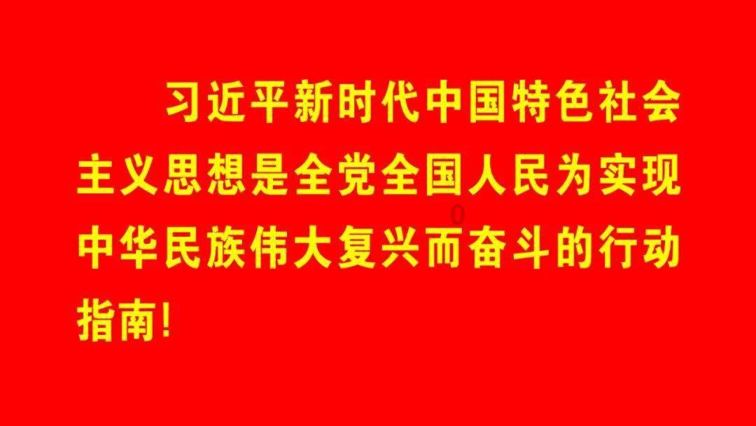 救援小棕兔